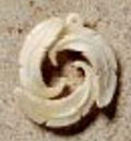 Feather Circle Pendant