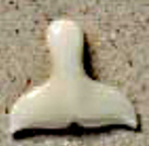 Whale Tail pendant