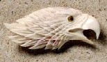 Eagle Head Pendant