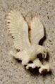 Eagle Pendant